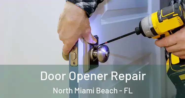  Door Opener Repair North Miami Beach - FL