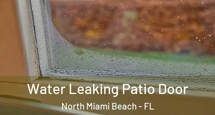  Water Leaking Patio Door North Miami Beach - FL